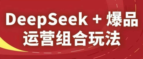 DeepSeek+爆品运营组合玩法,2025淘系精品课-鸿图网创