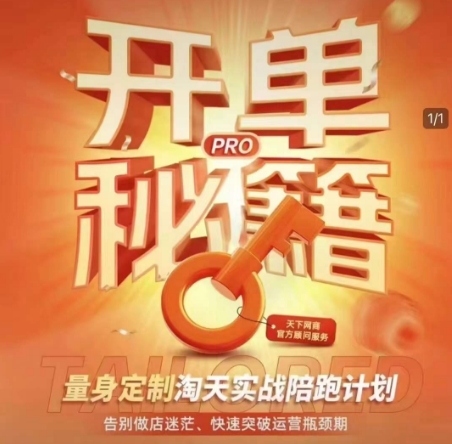 淘宝开单秘籍PRO,量身定制淘天实战陪跑计划,告别做店迷茫、快速突破运营瓶颈期(更新)-鸿图网创