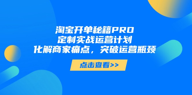 淘宝开单秘籍PRO,定制实战运营计划,化解商家痛点,突破运营瓶颈-鸿图网创