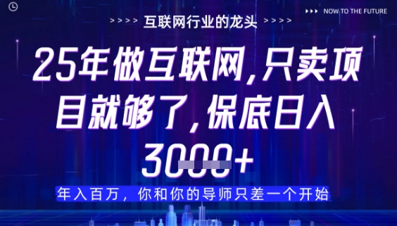 什么！25年你还在找项目做？风口早就变了，卖项目才是稳挣不赔【揭秘】-鸿图网创