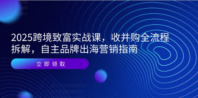 2025跨境致富实战课，收并购全流程拆解，自主品牌出海营销指南-鸿图网创