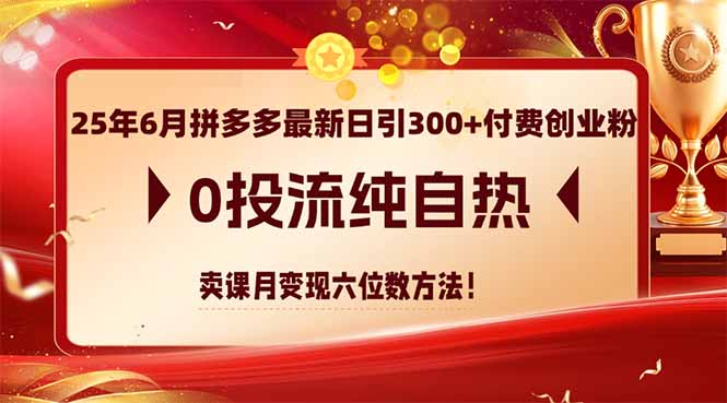 25年6月拼多多最新日引300+付费创业粉,0投流纯自热 卖课月变现六位数方法-鸿图网创