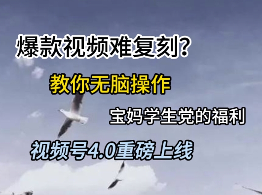 视频号4.0重磅上线,爆款视频难复刻?教你无脑操作宝妈学生党的福利【揭秘】-鸿图网创