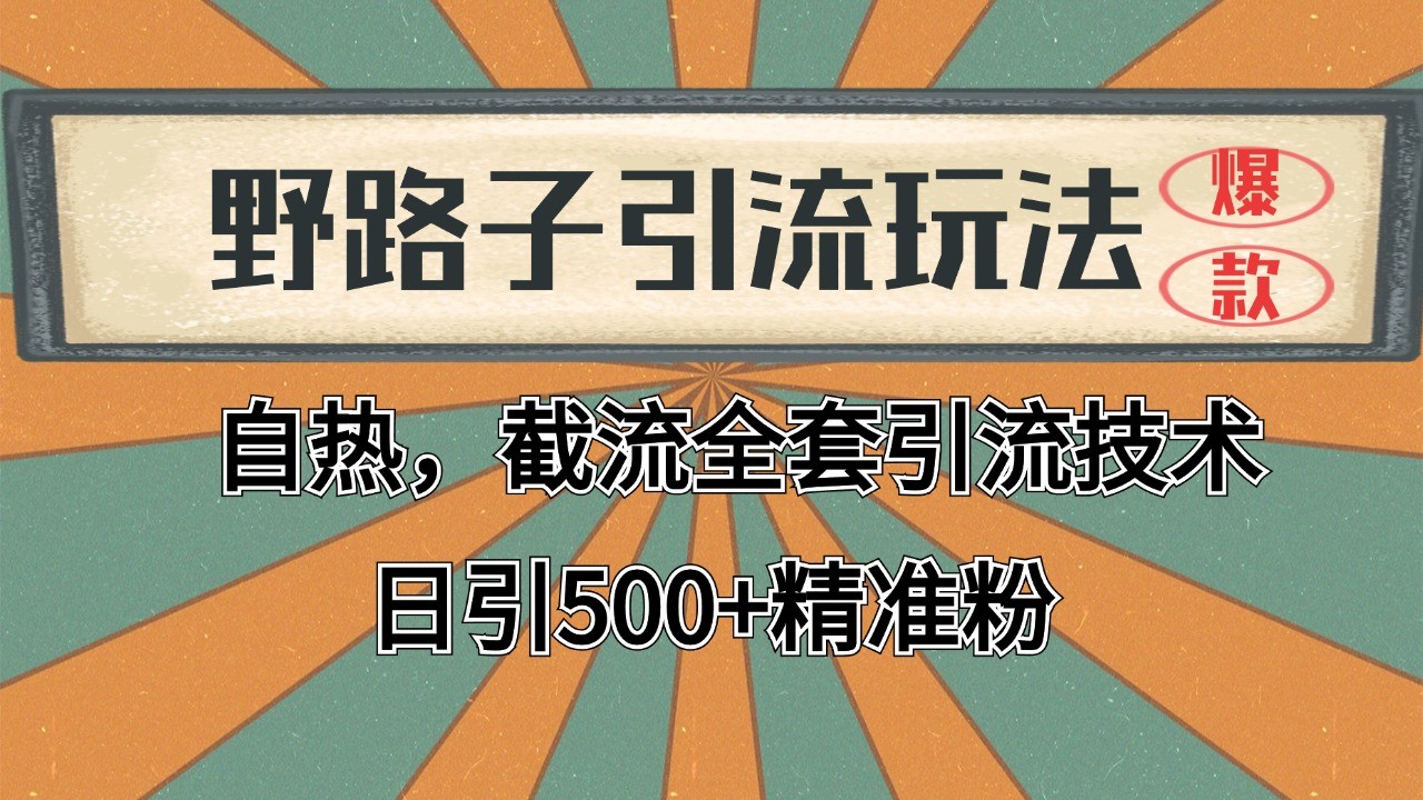 2024首发野路子引流玩法截流自热全平台打法，全自动引流【日引2000+精准客户】-鸿图网创