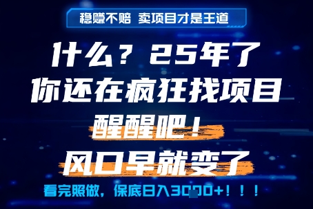 什么？25年你还在疯狂找项目做，醒醒吧，看完这些你全都懂了！【揭秘】-鸿图网创