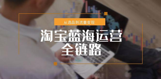 淘宝蓝海运营全链路,从选品到流量变现,小类目突围完整方案-鸿图网创