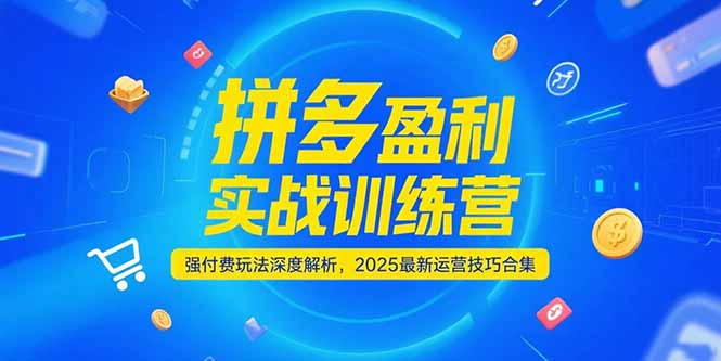 拼多多盈利实战训练营,强付费玩法深度解析,2025运营技巧合集-更新6月-鸿图网创
