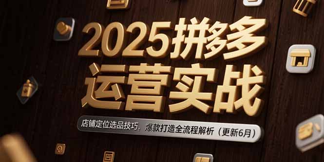 2025拼多多运营实战：店铺定位选品技巧，爆款打造全流程解析(更新6月-鸿图网创