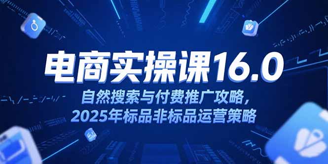 淘宝电商运营课16.0,自然搜索与付费推广攻略,2025年标品非标品运营策略-鸿图网创