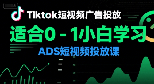 Tiktok短视频广告投放，适合0-1小白学习ADS短视频投放课-鸿图网创