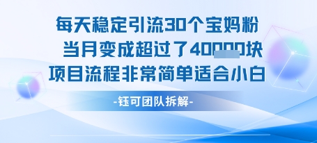 每天稳定引流30个人 当月变成超过了4个W项目流程非常简单适合小白-鸿图网创