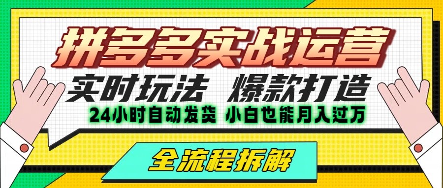 拼多多最新实战运营高投产：长久稳定项目，单店利润一天三位数-鸿图网创