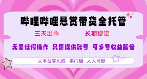 2025年B站风口带货项目 仅需提供账号 全程托管 轻松月入1w+-鸿图网创