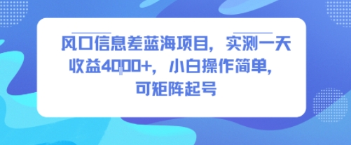 风口信息差蓝海项目，实测一天收益4k+，小白操作简单，可矩阵起号-鸿图网创