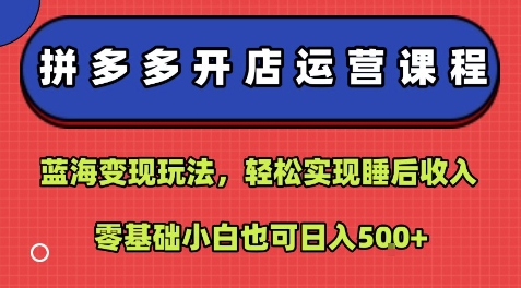 拼多多开店运营课程:蓝海变现玩法,轻松实现睡后收入,零基础小白也可日入5张-鸿图网创