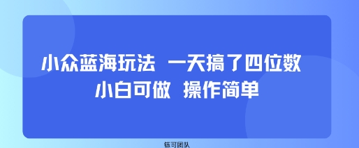 小众蓝海玩法 一天搞了四位数 小白可做 操作简单-鸿图网创