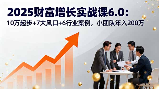 2025财富增长实战课6.0：10万起步+7大风口+6行业案例，小团队年入200万-鸿图网创