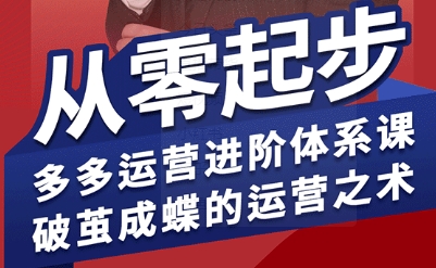 拼多多运营进阶系统课,从零起步,多多运营进阶体系课,破茧成蝶的运营之术(更新9月)-鸿图网创