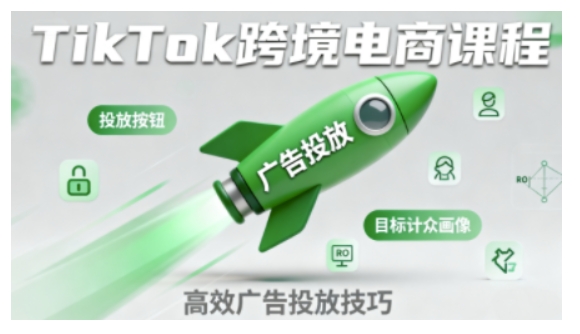 TikTok跨境电商全流程实操课，助力从业者掌握TikTok跨境电商运营核心技能，高效开展业务-鸿图网创