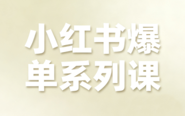 尼采老师·小红书爆单系列课-鸿图网创