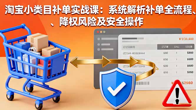 淘宝小类目补单实战课：系统解析补单全流程、降权风险及安全操作-鸿图网创