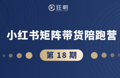 盗坤·抖音小红书视频号短视频带货与直播变现(11-18期)-鸿图网创