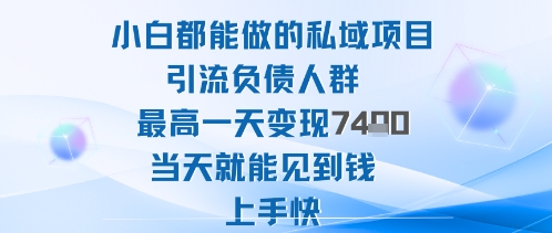 2025年小白都能做的私域项目引流负债人群最高一天变现1k+高变现难度低当天就能见到钱上手快-鸿图网创