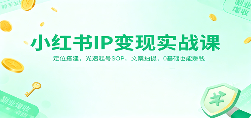 小红书IP变现实战课：定位搭建，光速起号SOP，文案拍摄，0基础也能赚钱-鸿图网创