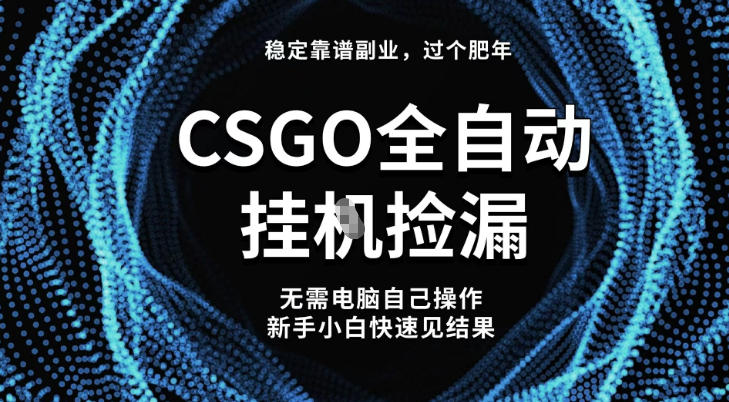 【稳定副业】全球最热门游戏CSGO全自动捡漏，最新玩法，新手小白日入5张+【揭秘】-鸿图网创