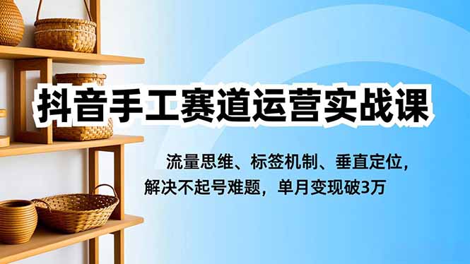 抖音手工赛道运营实战课，流量思维、标签机制、垂直定位，解决不起号难题，单月变现破3万-鸿图网创