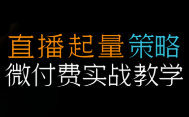 半野老师·直播带货起量与微付费必学课视频号-鸿图网创