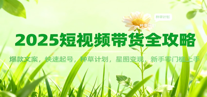 2025短视频带货全攻略：爆款文案，快速起号，种草计划，星图变现，新手零门槛上手-鸿图网创