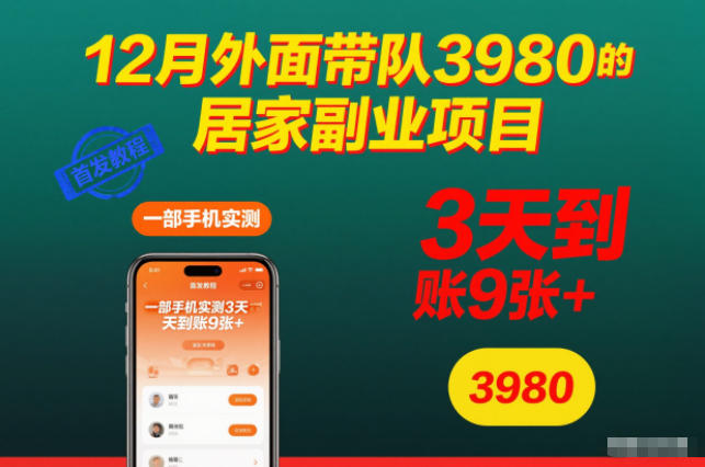 12月外面带队3980的居家副业项目，一部手机实测3天到账9张+，首发教程【揭秘】-鸿图网创
