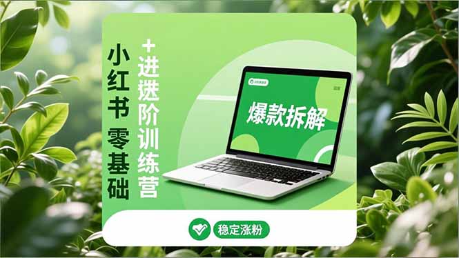 小红书零基础+高阶训练营:安全养号、爆款拆解、长效运营,实现稳定涨粉与变现-鸿图网创