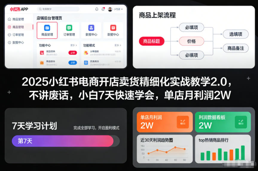 2025小红书电商开店卖货精细化实战教学2.0，不讲废话，小白7天快速学会，单店月利润2W-鸿图网创