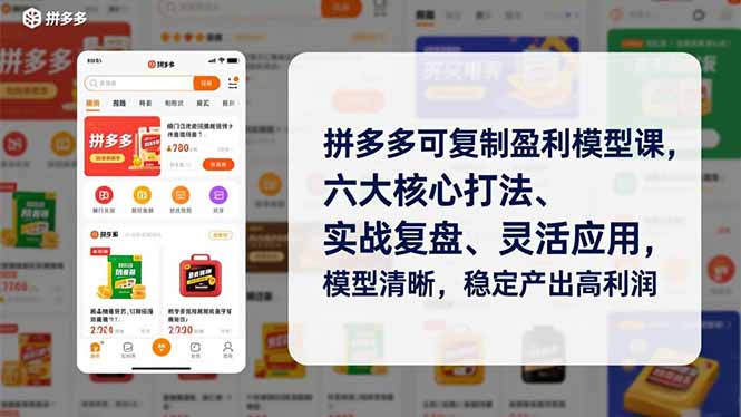 拼多多可复制盈利模型课，六大核心打法、实战复盘、灵活应用，模型清晰，稳定产出高利润-鸿图网创