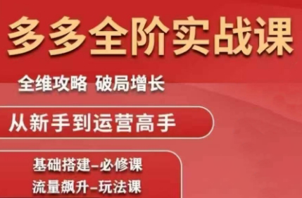 大炮·拼多多全阶实战课程(更新2026)-鸿图网创