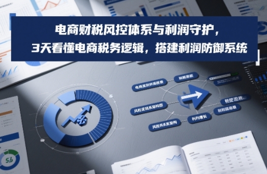 电商财税风控体系与利润守护，3天看懂电商税务逻辑，搭建利润防御系统-鸿图网创