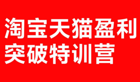 玺承·淘宝天猫盈利突破特训营(25年12月线下课)【音频+字幕】-鸿图网创