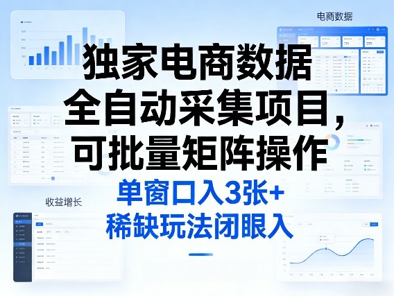 独家电商数据全自动采集项目，可批量矩阵操作，单窗口日入3张+，稀缺玩法闭眼入【揭秘】-鸿图网创