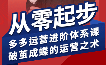 海神·拼多多运营进阶系统课(更新2026)-鸿图网创