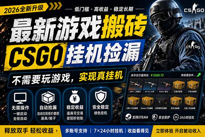 最新游戏搬砖，CSGO纯挂机，不需要玩游戏，实现真挂机，月入1W+，五一小高峰上车可吃肉，…-鸿图网创
