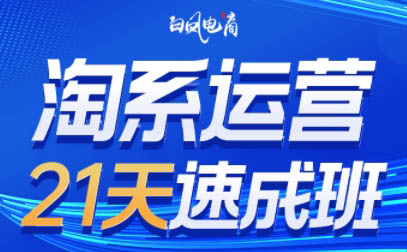 白凤电商·淘系运营21天速成班(更新4月)-鸿图网创