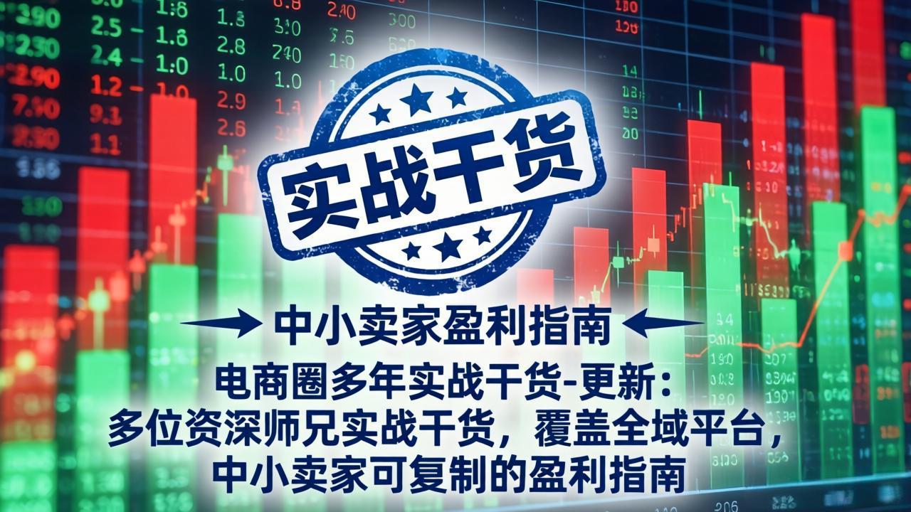 电商圈多年实战干货-更新5月10：多位资深师兄实战干货/覆盖全域平台，中小卖家可复制的盈利指南-鸿图网创