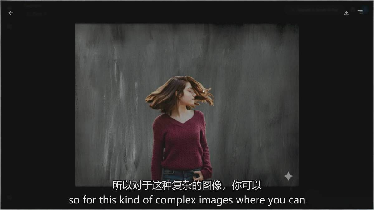 图片[3]-Google Nano Banana全能课：从入门到精通，AI照片编辑与创意设计全掌握-鸿图网创